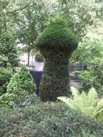 onderhoud-vormsnoeien